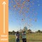 6-Pack Confetti Cannons | Biodegradable Rainbow | Launches 25ft | 12" Party Poppers